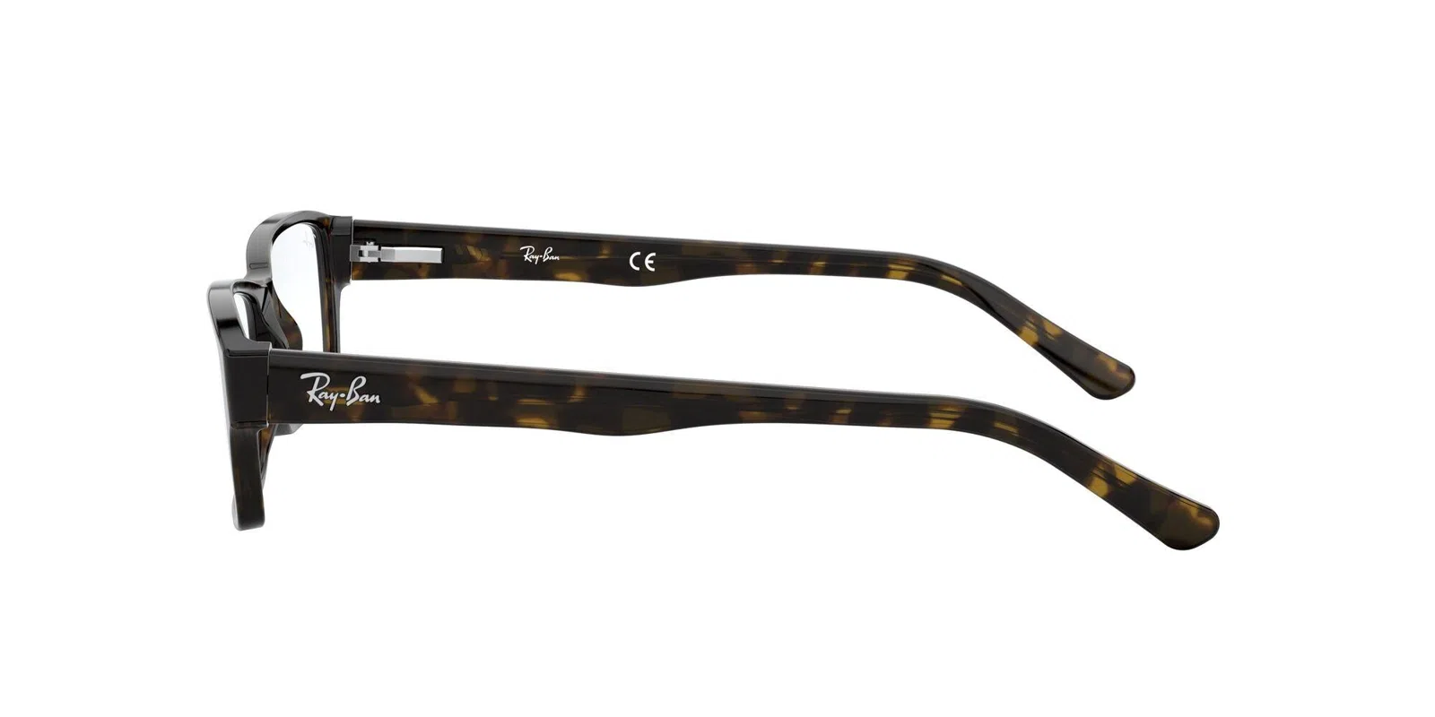 Ray-Ban 5169 Eyeglasses - view 75